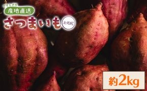 さつまいも（土佐紅）2kg 2025年出荷分 - サツマイモ さつま芋 野菜 焼き芋 やきいも 焼いも おやつ yr-0042