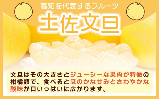 土佐文旦 家庭用 10kg 大小混合(L～3L) 約18～28玉入り yk-0052