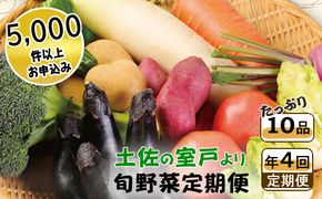 定期便 年4回 野菜 旬 1回あたり10品 セット 詰め合わせ 春夏秋冬 野菜 旬 おまかせ 新鮮 やさい レシピ付き 高知県 室戸市 故郷納税 送料無料　rk015