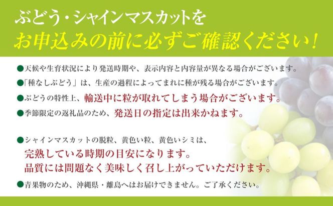 E1203山梨産 旬のくだもの定期便＜年6回＞ 枯露柿 もも すもも貴陽 シャインマスカット ラフランス ゆず フルーツ