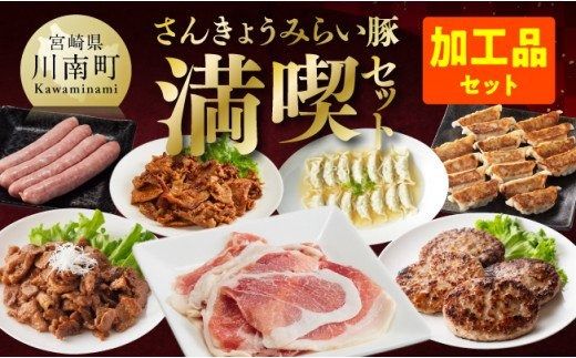 豚肉 さんきょうみらい豚 満喫セット （加工品） 【 満喫 セット 精肉 豚肉 国産 九州産 宮崎県産 川南町産 ウデ モモ 鉄板焼き みそ漬け 味噌漬け 生ハム ハンバーグ 簡単調理】 ☆ [E0102c]