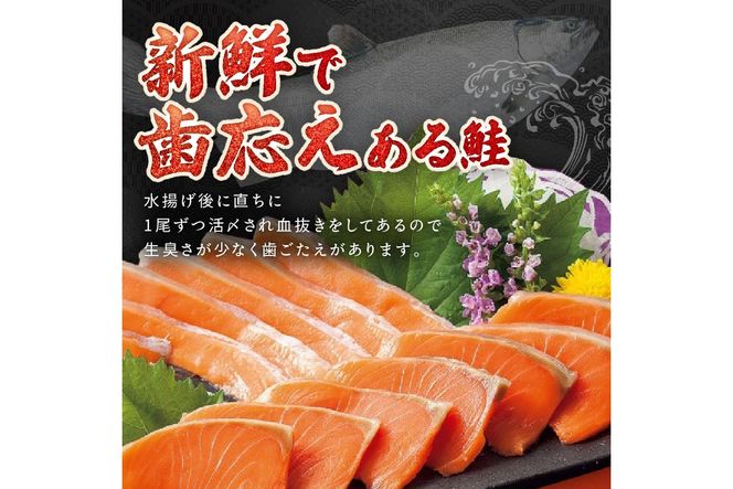 【数量限定100】絶品！お手軽！骨抜き！日本海産 サーモンフィーレ 約650g　サーモン 魚 魚介 海鮮 おかず おつまみ 刺身 カルパッチョ ふるさと納税 サーモン 刺身 鮭 フィレ 海鮮丼 寿司 サラダ ソテー 冷凍 お取り寄せ グルメ YK00160