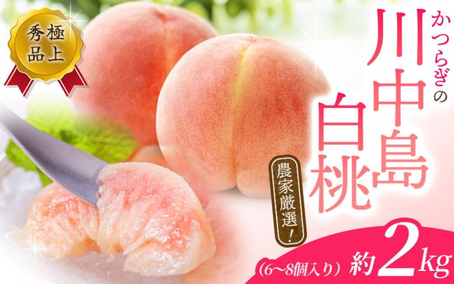 桃 【予約受付】こだわり農家厳選 川中島白桃 和歌山産の桃 <大玉特秀品> 約2kg（6個~9個） 2025年8月初旬頃～2025年8月末頃に順次発送予定（お届け日指定不可）【kgr011】