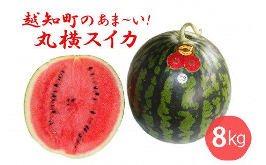 越知町のあま～いスイカ【約8kg　1玉】