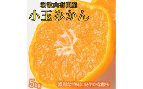 有田の小粒みかん5kg　(S～3Sサイズ混合) ※2025年11月下旬頃～2026年1月下旬頃に順次発送予定 / みかん ミカン 蜜柑 温州みかん 柑橘 フルーツ 果物 くだもの 和歌山【uot845