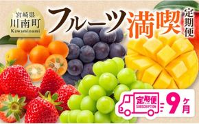  【 全9回定期便 】 フルーツ 満喫 定期便 【 川南町産 くだもの きんかん いちご 完熟 マンゴー ぶどう ピオーネ シャインマスカット 】 ☆ [D11701t9]