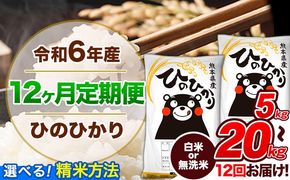 【12ヶ月定期便】令和6年産 定期便 無洗米 も選べる ひのひかり 5kg 10kg 15kg 20kg 《申込み翌月から発送》令和6年産 熊本県産 ふるさと納税 無洗米 白米 精米 ひの 米 こめ ふるさとのうぜい ヒノヒカリ コメ 熊本米ひのもり---hn6tei_180000_5kg_mo12_gkt_h---