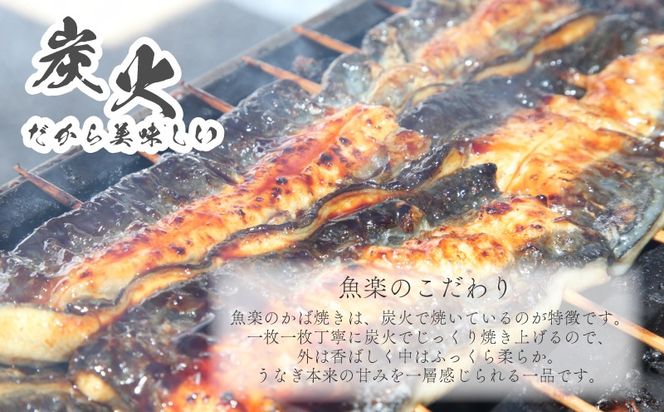 【おいしい訳あり！】うなぎのかば焼き うなぎの蒲焼（半カット）2尾　380g以上　JK001_01