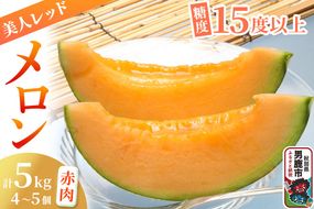 【先行受付】美人レッドメロン 4～5個 計5kg 甘みじゅうぶんの赤肉メロン 糖度15度以上 ミツバチ交配 秋田県 男鹿市 JAなまはげ|23_nhn-070501