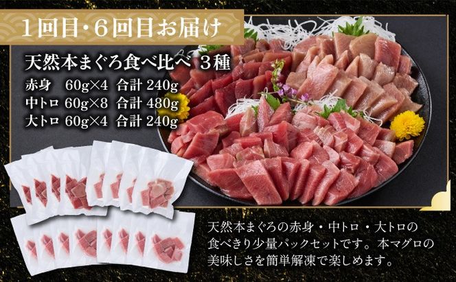 【全10回定期便】タカシン水産厳選 高知の海鮮セット 定期便 福袋 海鮮 詰め合わせ タタキ まぐろ マグロ 本まぐろ ネギトロ かつお カツオ 鰹 鮪 かつおのたたき カツオのタタキ タタキ 魚介 高知 室戸 all