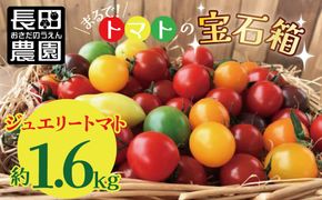 【2026年度予約分】まるでトマトの宝石箱！フルーツジュエリートマト約1.6㎏ 長田農園 産地直送 トマト とまと 野菜 やさい フルーツ サラダ 濃厚 甘い ご褒美 プレゼント 美容 健康 リピート多数 人気 高評価 先行受付 数量限定 碧南市 H004-162_Nov