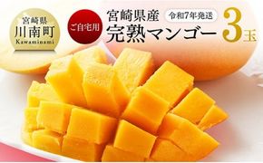 【令和7年発送】【 訳あり 】 宮崎県産完熟マンゴー 3玉 【 果物 フルーツ マンゴー 宮崎県産 完熟マンゴー みやざきマンゴー 先行予約 】☆ [D03214]