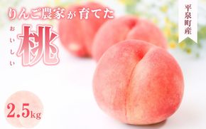 ≪ 2025年8月上旬より順次発送≫ 平泉町産 桃 約2.5kg (7～10玉) 品種おまかせ 「おどろき・川中島白桃・ まどか」 からお届け / 桃 もも モモ 白桃 フルーツ 甘い 大文字りんご園 【dma501-r-2d5A】